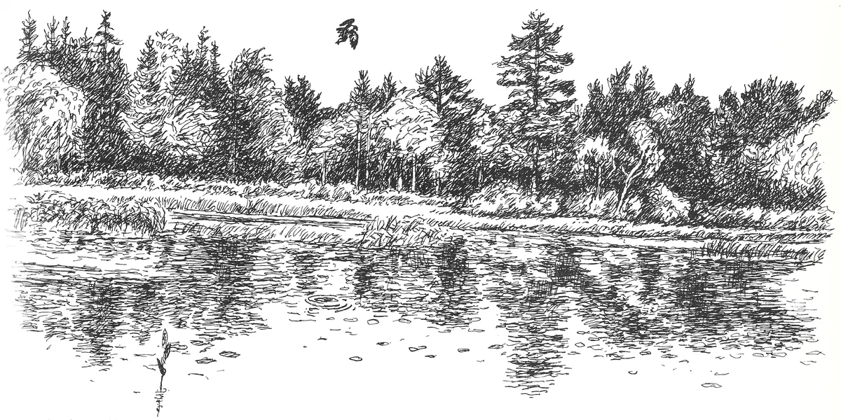 Tecknad bild över Sundön – Nabbarna